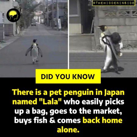 Interesting Posts image