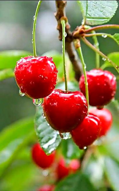 Beautiful Nature image
