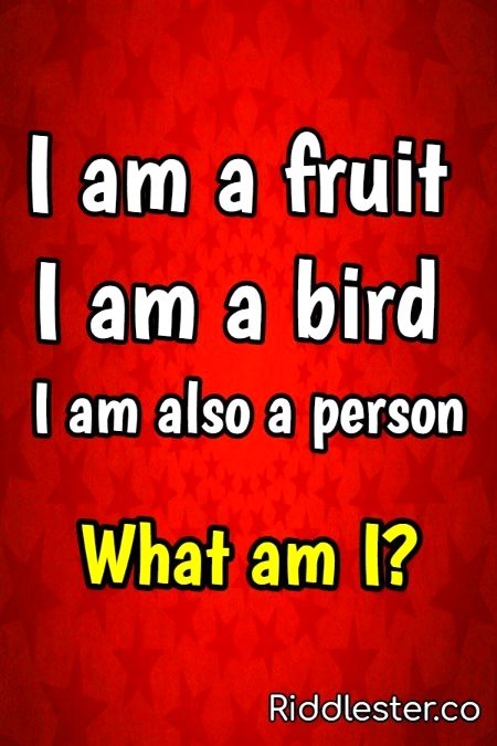 Riddles & Puzzles image