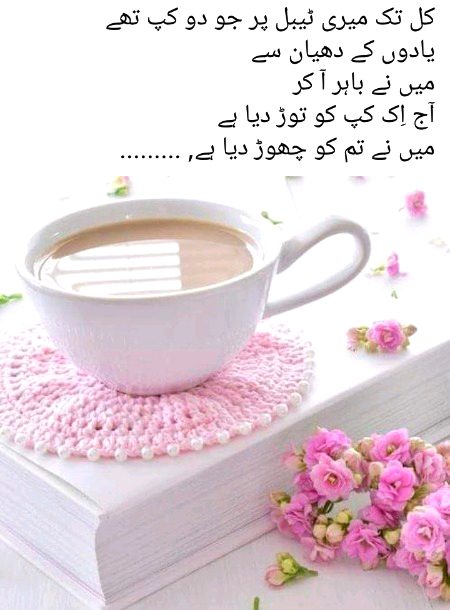 Memes & Satire image