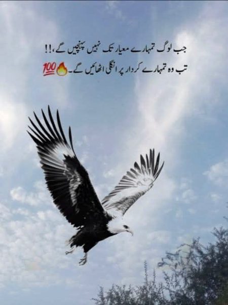 Attitude Poetry image