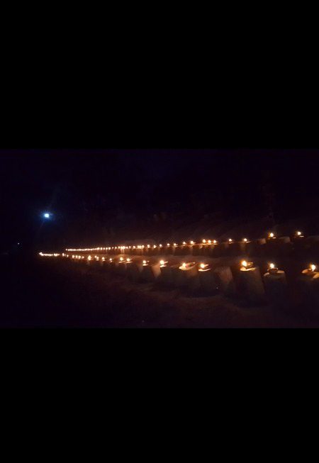 ✨✨✨✨ ✨✨ ✨