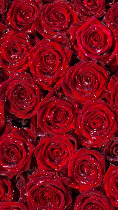 Beautiful Nature image