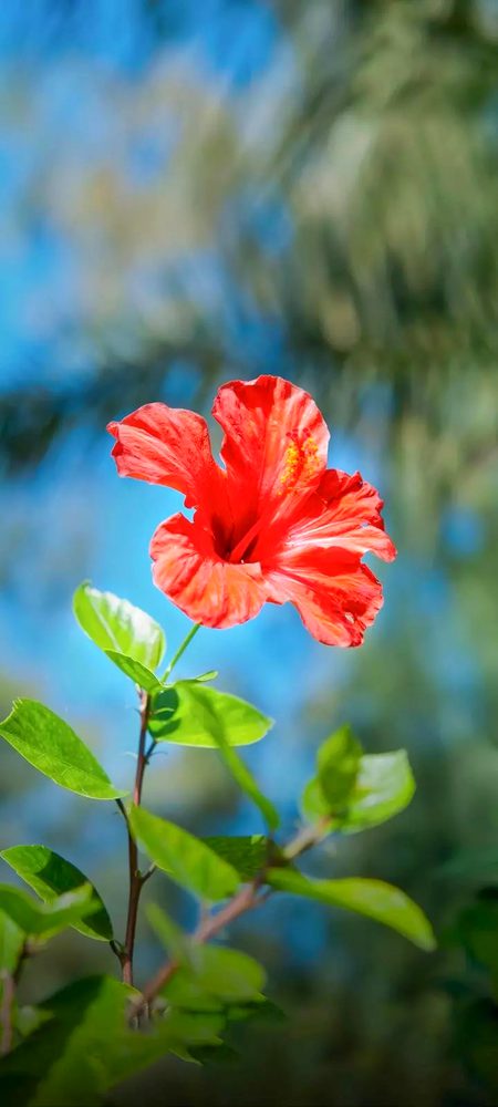 Beautiful Nature image