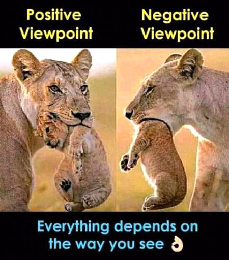 Veracious😊