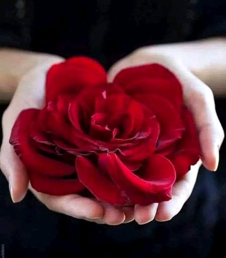Beautiful Nature image