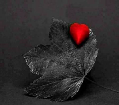 رُوح شناس انسان مل جائے تو 
انسان کبھی بُوڑھا نہیں ہوتا