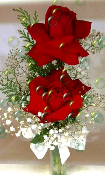 Beautiful Nature image