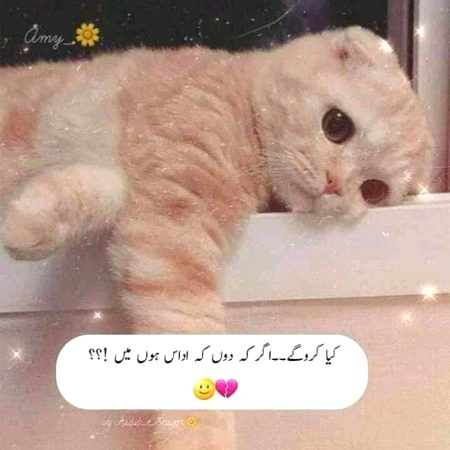 Sad Poetry image
