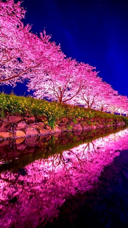 Beautiful nature