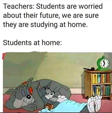 Memes & Satire image