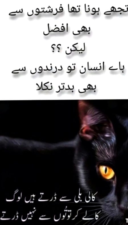 Log bd dua se darty hn... lkn apny kaly kartooton se nh