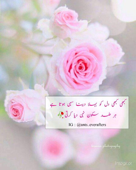 Motivational Quotes image