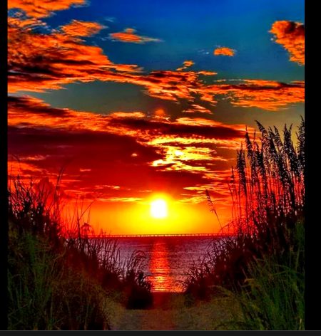 Beautiful Nature image