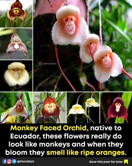 Interesting Posts image