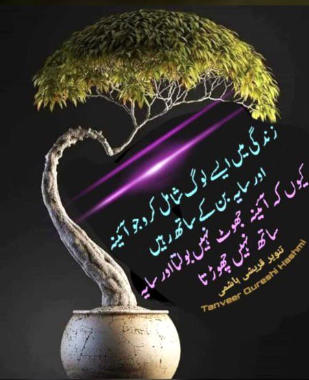 Saanaam ❣️❣️ jsy k m hu