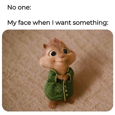 Memes & Satire image