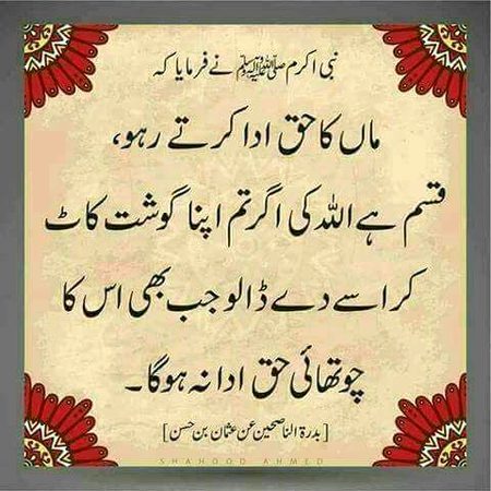🍁Zoq_Shab🍁