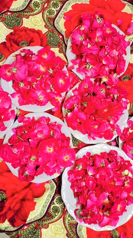 Mishu love Y💗🙈