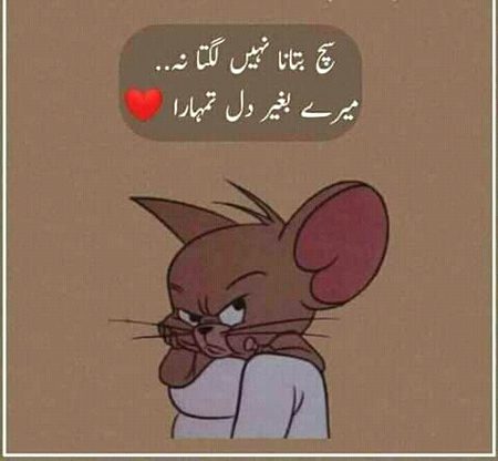 sach btan jhoot bilkul nhi