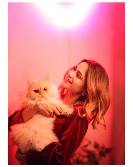 Pakistani Celebs image