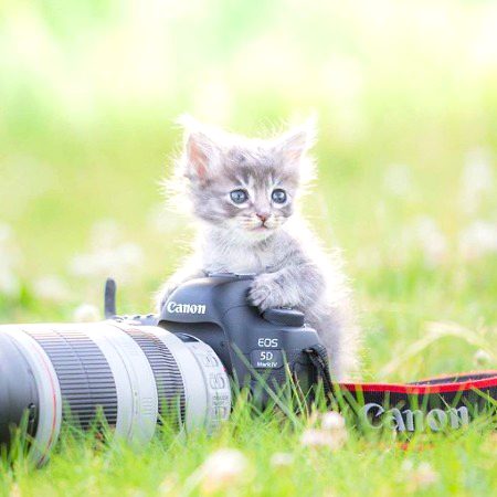 Beautiful Nature image