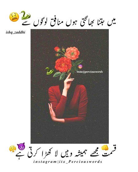 Memes & Satire image