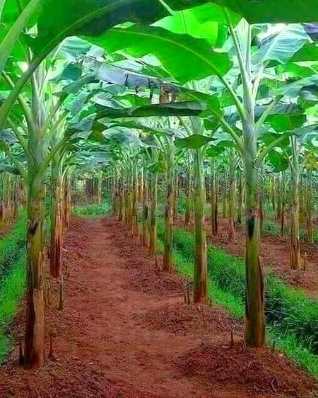 Beautiful Nature image