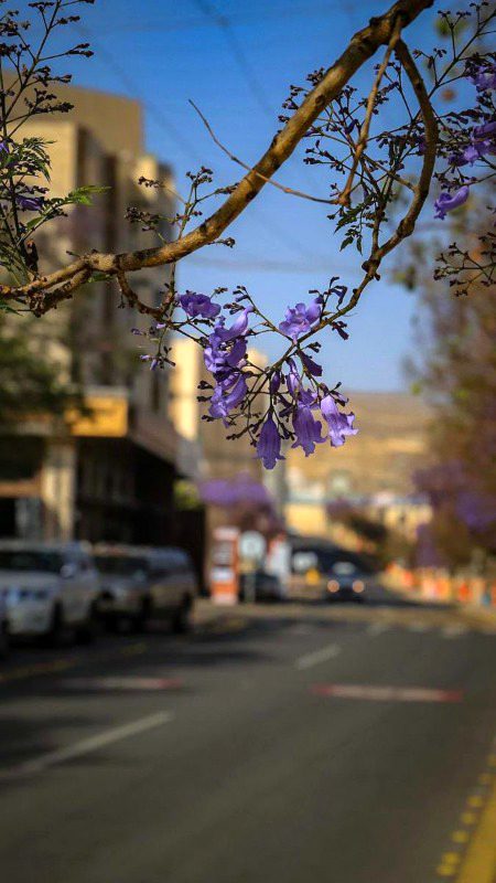 Beautiful Nature image