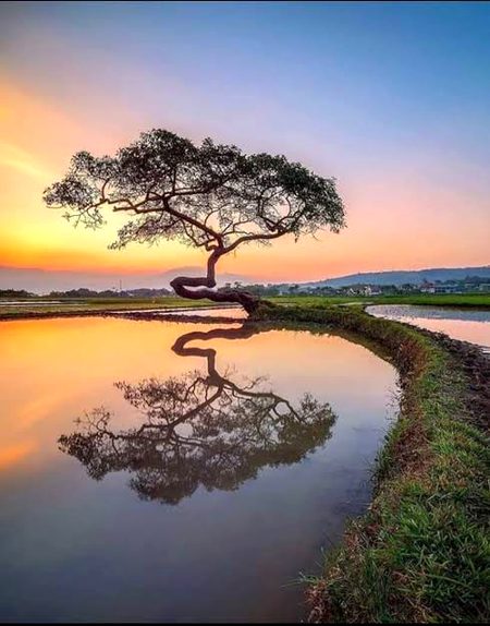 Beautiful Nature image