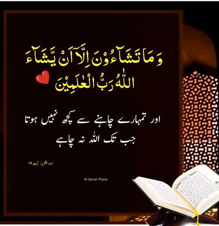 Islamic Quotes image