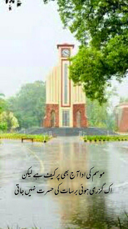 Saanaam ❣️❣️ tmnh