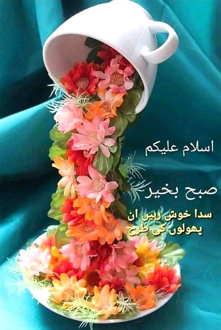 Beautiful Nature image