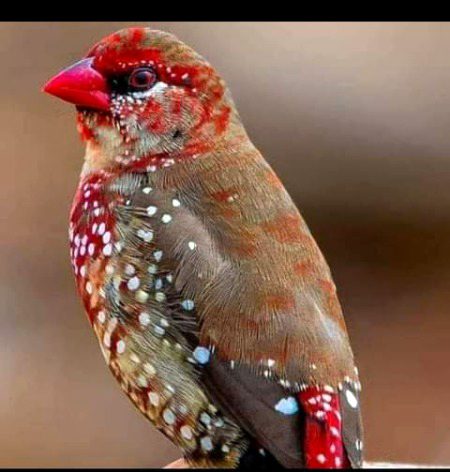 Beautiful Nature image