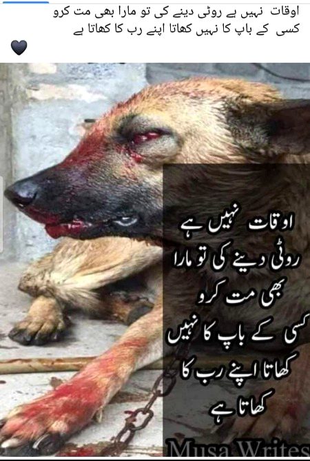 Zolm mt kia kro chay koi bhi ho