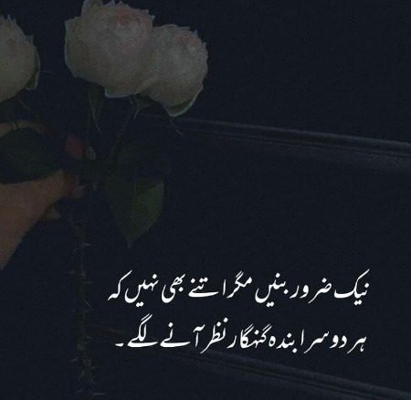 Absolutely 💯