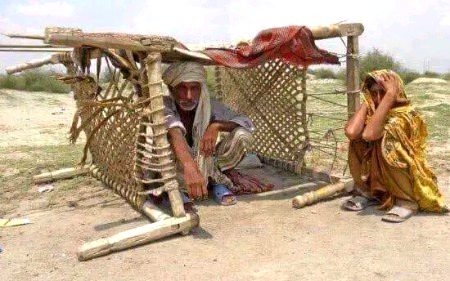 لاشیں…… رکھی ہیں سرد خانے میں.•
سخت…… گرمی سے مرنے والوں کی.•,😓