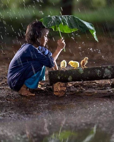 آپ خود کو اشرف المخلوقات صرف اسی صورت میں کہلوا سکتے ہیں جب کائنات میں موجود ساری مخلوق آپکے شر سے بالکل محفوظ رہے.