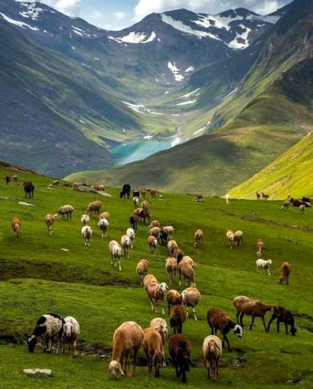 Beautiful Nature image