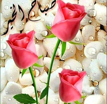 Beautiful Nature image