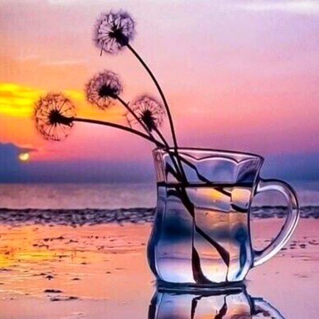 Beautiful Nature image