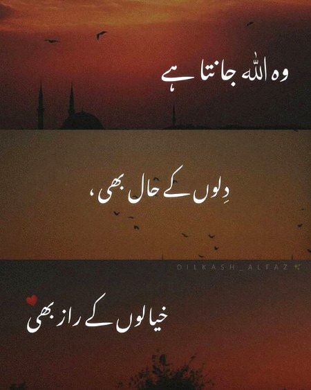 Islamic Quotes image