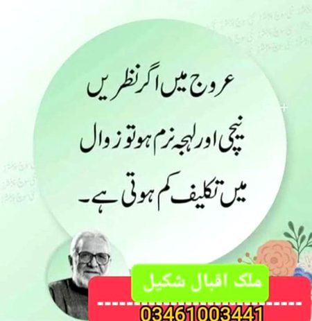 Life Advice image