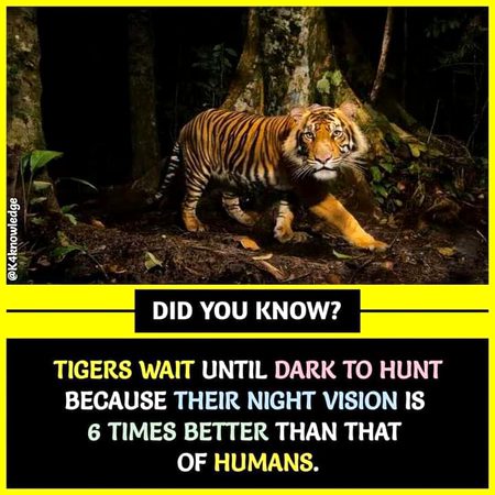Interesting Posts image
