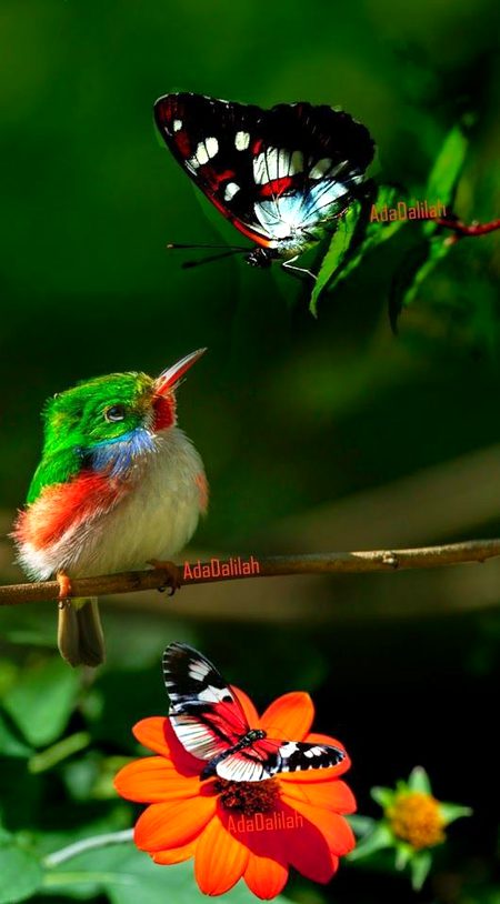 Beautiful Nature image