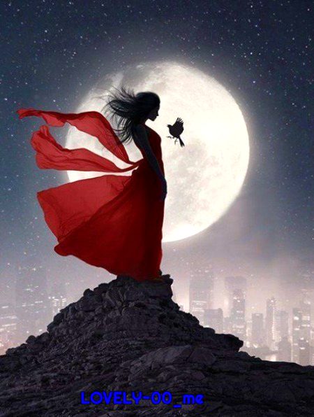 ...کون سویا
....کون رویا ..رات رکھ لیتی ہے بھرم سب کا 😌