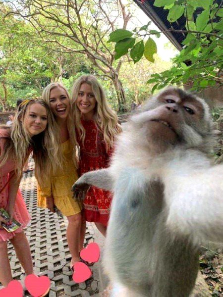 Wah monkey tum toh bare famously ban gae 😊
