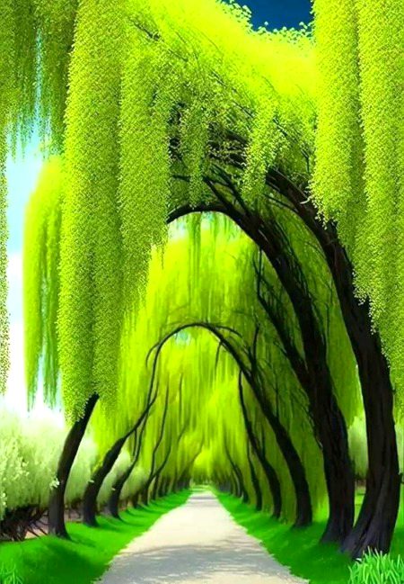 Saanaam ❣️❣️