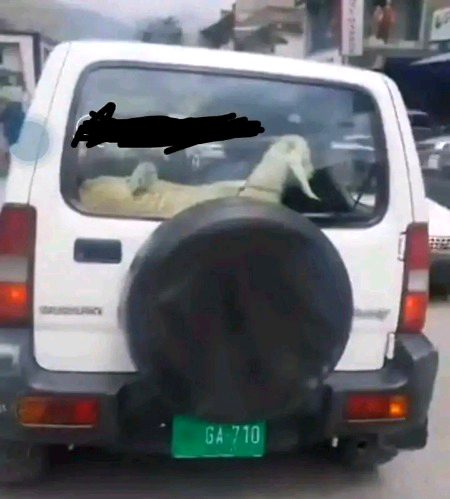 لوگ تحقیق كیے بغیر فورا خبر لگا دیتے ہیں۔ صبح سے دھڑا دھڑ پوسٹ شئیر کی جا رہی ہے کہ سرکاری گاڑی میں بکری سفر کر رہی ہے۔ ممکن ہے یہ بكری نہ ہو "بكرا" هو۔۔۔ مثبت سوچ رکھنی چاہیے۔,🥴🥴