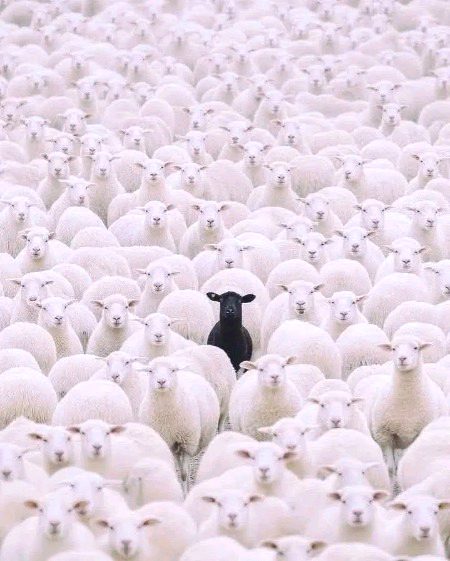 ہر جگہ فٹ ہونا چھوڑ دیں اور اس حقیقت کو تسلیم کرلیں کہ آپ ہزاروں لوگوں سے مختلف ہیں. 
اپنی شخصیت کو ان پیمانوں پر تولنا بند کردیں جوعام لوگوں کے ترتیب دیے ہوئے ہیں، خود کو اس نظر سے دیکھنا بند کردیں جس کی بینائی عام لوگوں کی دی ہوئی آنکھیں ہیں. 
آپ کی انفرادیت، جداگانہ پہچان اور قابلیت کو سراہنا تو درکنار، لوگ الٹا حسد میں آکر آپ سے نفرت اور دشمنی شروع کردیتے ہیں. 
اگر آپ نے اپنی قدر و قیمت کا درست تعین کرنا ہے تو تاریخ میں گزری منفرد شخصیات کو دیکھیں.،
آپ کی زندگی میں سکون تب ہی ممکن ہوسکتا ہے جب آپ کے نزدیک آپ کے ہم ذہن و ہم خیال لوگ موجود ہوں یا وہ لوگ ہوں جو کم از کم آپکو سمجھتے ہوں. 
اپنے جیسے منفرد لوگوں کو اس سیارے پر تلاش کریں، اس زندگی میں ان کے ساتھ رہنا ہی آپ کو سکون دے سکتا ہے🖋️📚📚📚